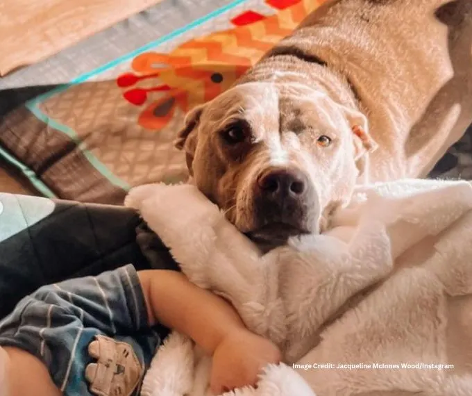 Bold and the Beautiful: Jacqueline MacInnes Wood