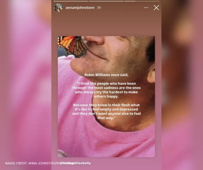 7 Little Johnstons - Anna Johnston - IG Stories