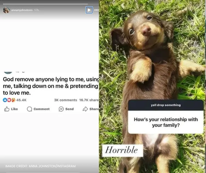 7 Little Johnstons - Anna Johnston - Johnston Family