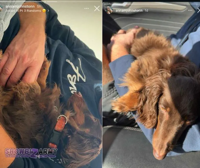 7 Little Johnstons - Anna Johnston